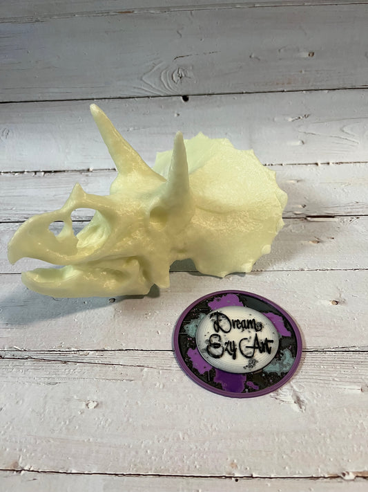 Triceratops Skull