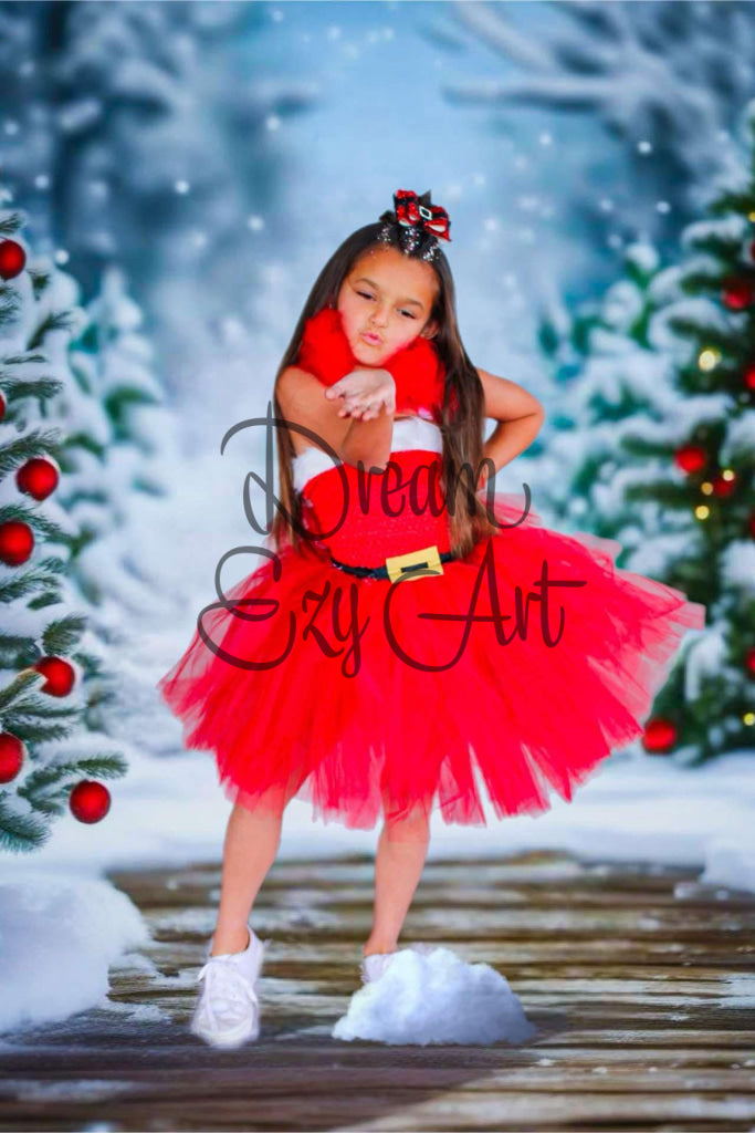 Mrs. Clause Tutu Costume