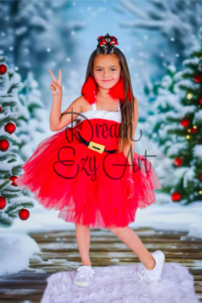 Mrs. Clause Tutu Costume