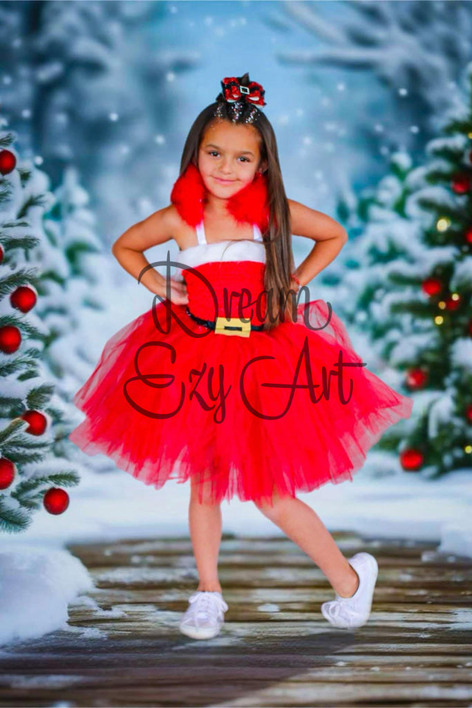 Mrs. Clause Tutu Costume