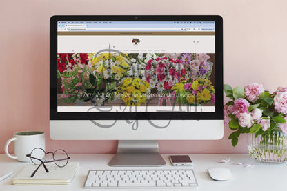 Websites