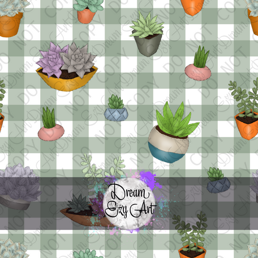 Potted Succulents